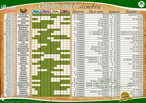 Calendario De Siembra Y Cultivos En El Jardín.